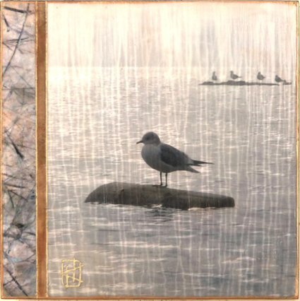 Rainy Day Gulls Rainy Day Gulls